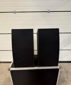 2X PL Audio Big Banana in Case mit Flugbügel |2500 EUR